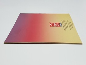 Robin Hood Prince of Thieves Aut&eacute;ntico Original NES Nintendo Manual Solo