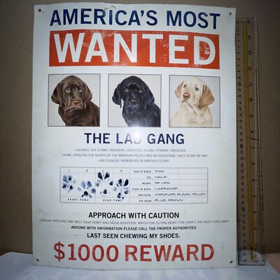 Metal 12.5X16'' Humor Sign: AMERICAS MOST WANTED LAB - LAST SEEN CHEWING SHOES