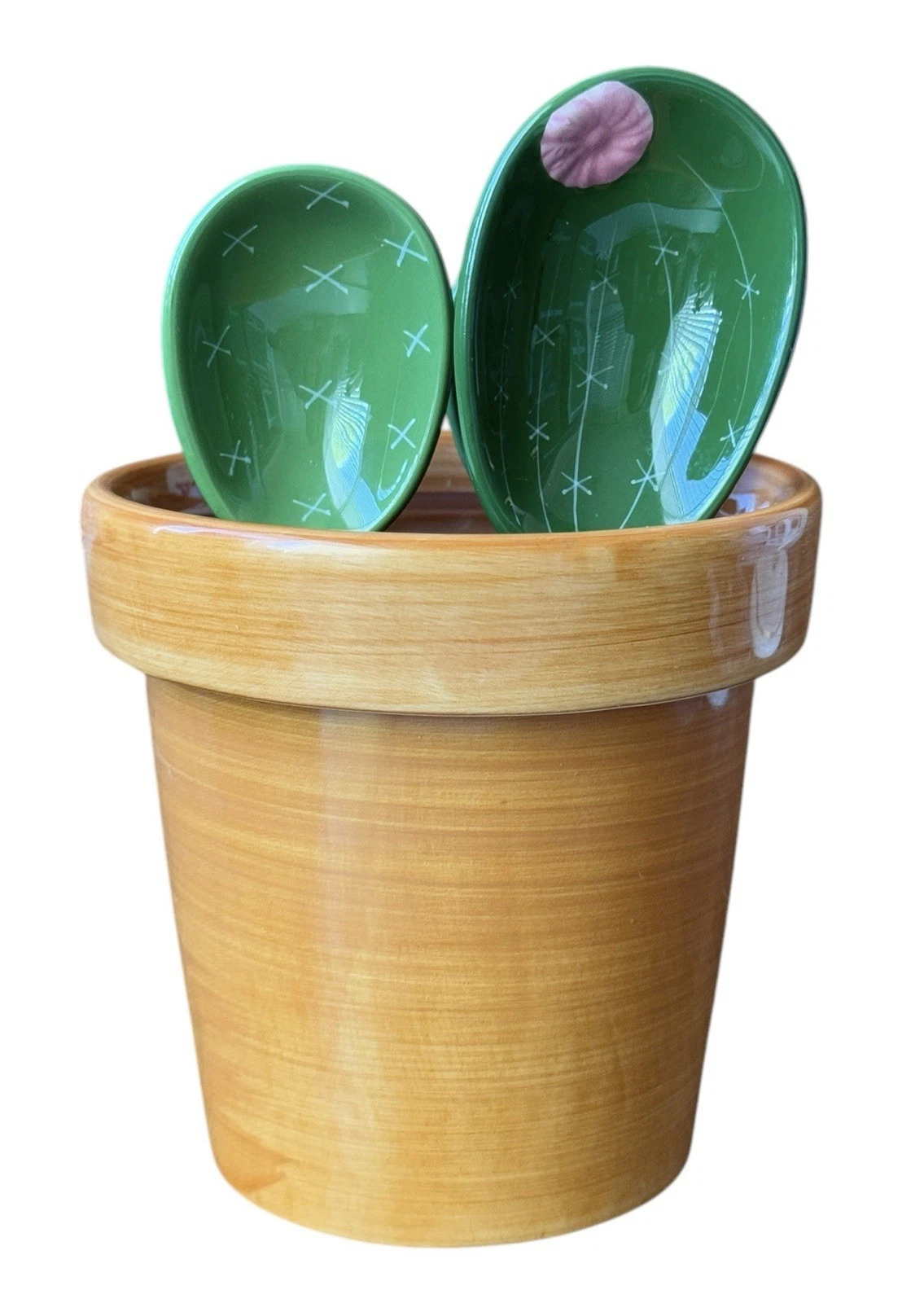 Cactus Measuring Pot Cup & Measuring Spoons Ceramic Set