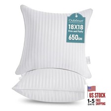 18 x 18 Throw Pillow Inserts, Firm and Fluffy 18x18 Inch Pack of 2 