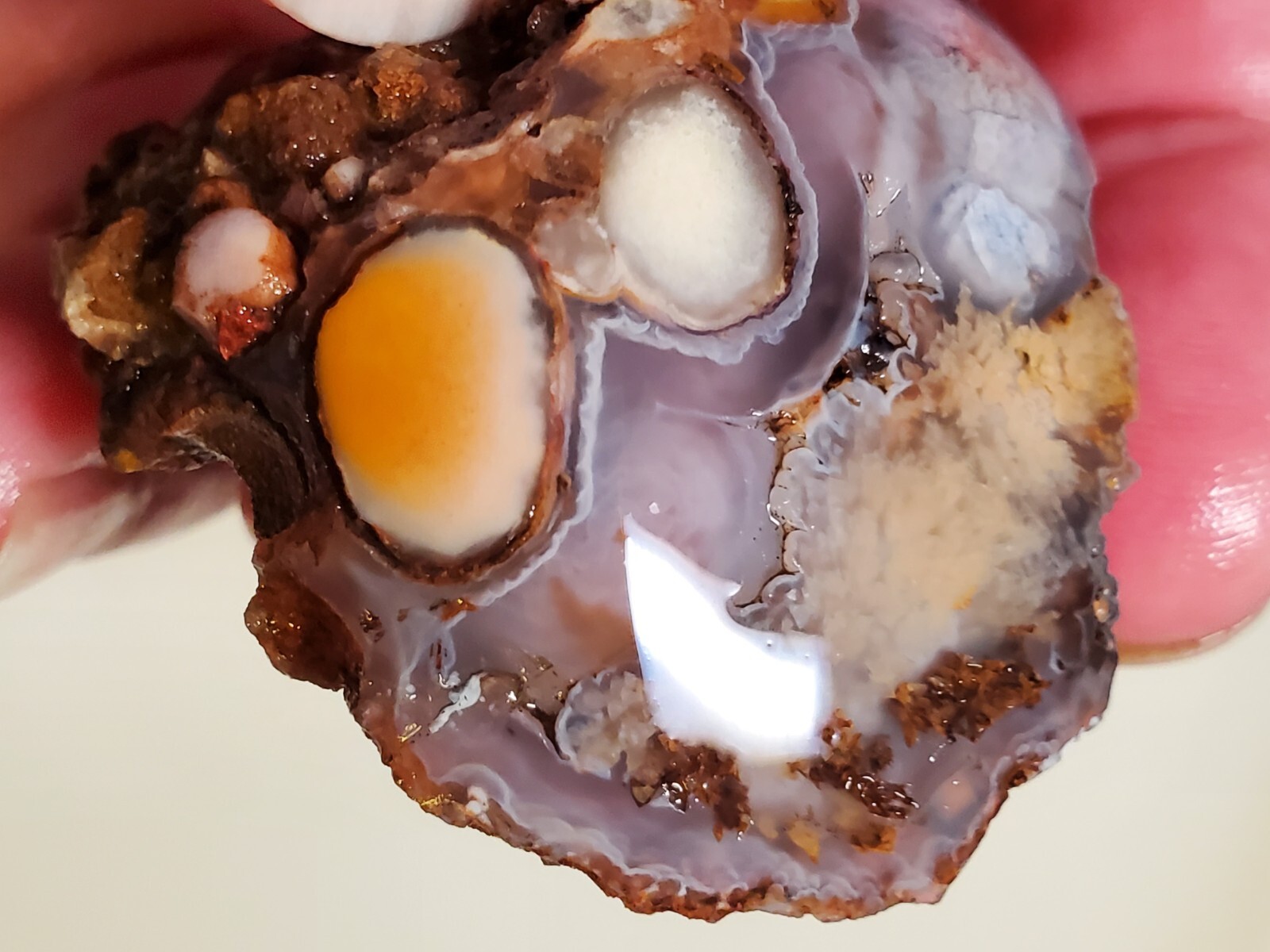 Woodward Ranch Sagenite PomPom Agate Alpine Texas 70g Rough Semi