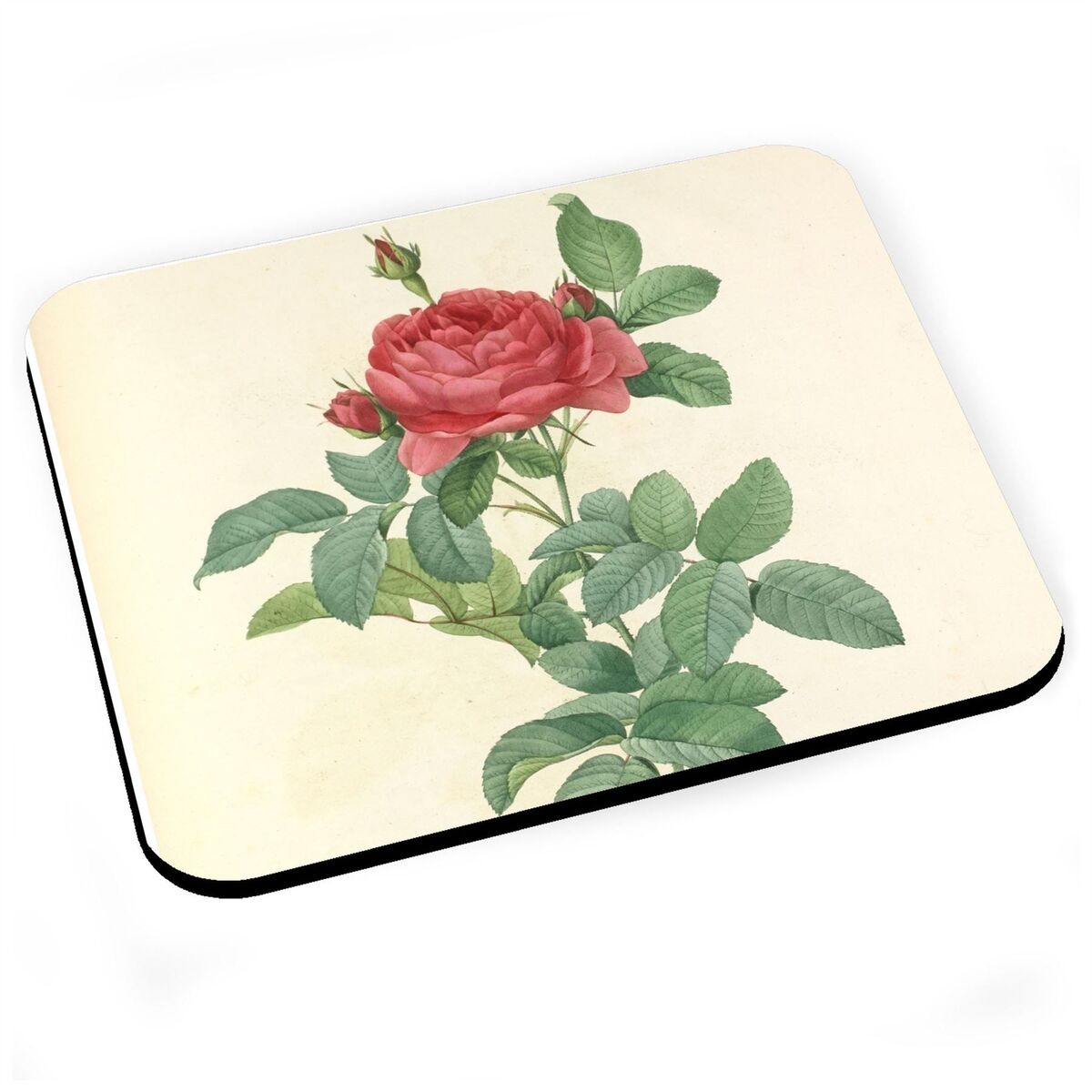 Tapis de Souris Rose Planche Dessin Plante Vintage Illustration