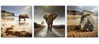 3 Piece Animal Canvas Wall Art Rhino, Elephant, And Zebra Painting — photo 3