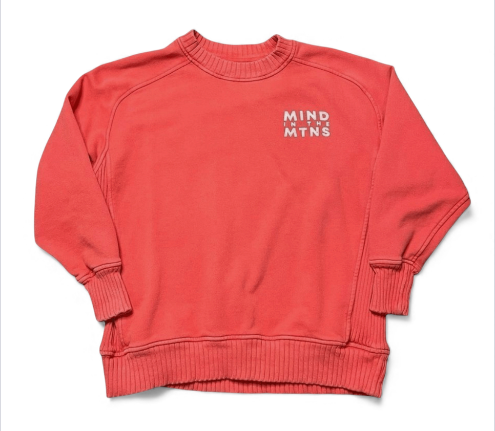 AERIE Oversized Sweatshirt DOWN TO EARTH CREWNECK Mind in the Mtns ORANGE sz XS