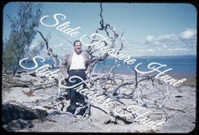 Australia Rat Island Man 35mm Slide 1950s Red Border Kodachrome