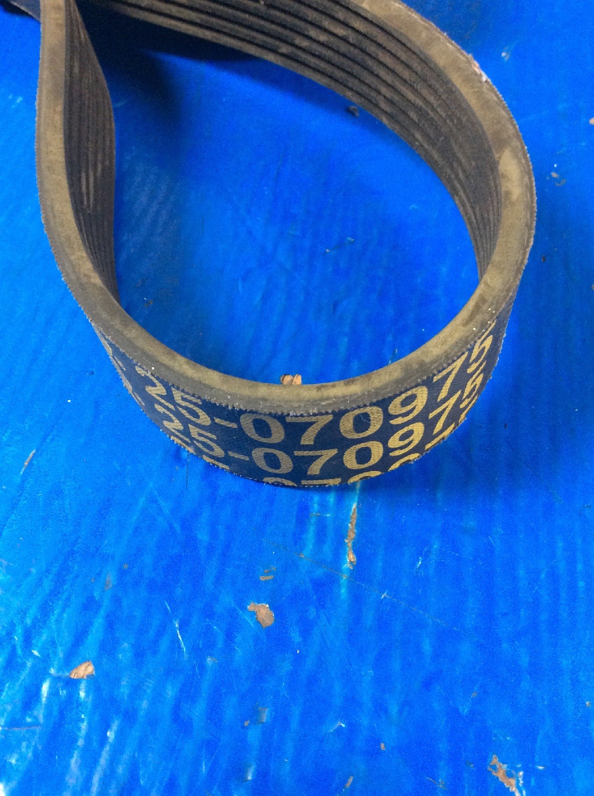 NAPA Serpentine Belt Rib 25070975 eBay