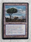 MTG Veldt - Ice Age (ICE) 1995 Magic the Gathering Card Rare Near Mint