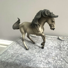 New retired lusitano stalion collecta