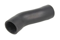 Thermotec Ladeluftschlauch DCF060TT FüR CitroËN Passend FüR Fiat Peugeot
