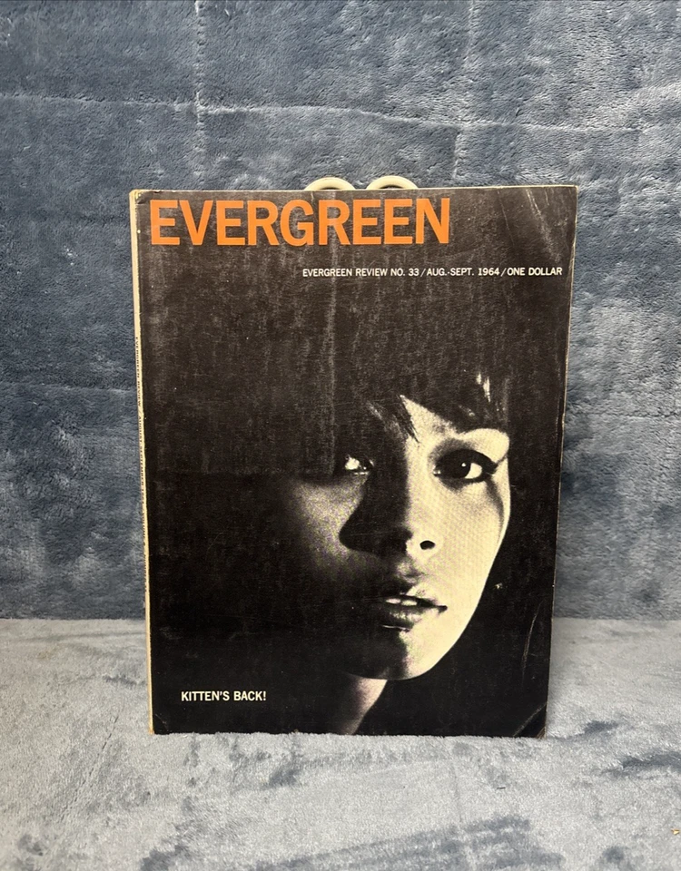 LOT OF 13 ISSUES EVERGREEN REVIEW MAGAZINE - 1964-1971 -NICE CONDITION! - Image 2 of 4
