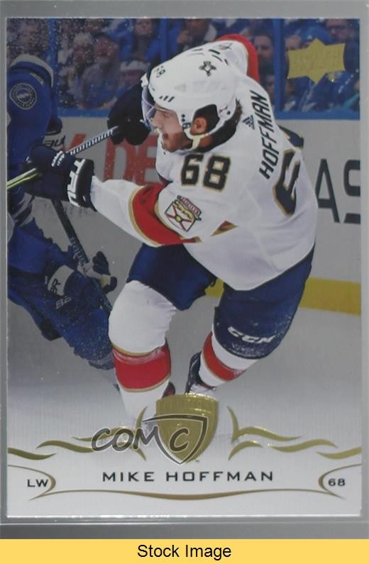 2018-19 Upper Deck Silver Foil Mike Hoffman #329 READ 09za