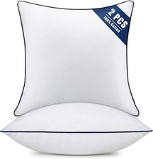 Throw Pillow Inserts Set of 2-Fluffy Square Cushions W/ 100 Cotton