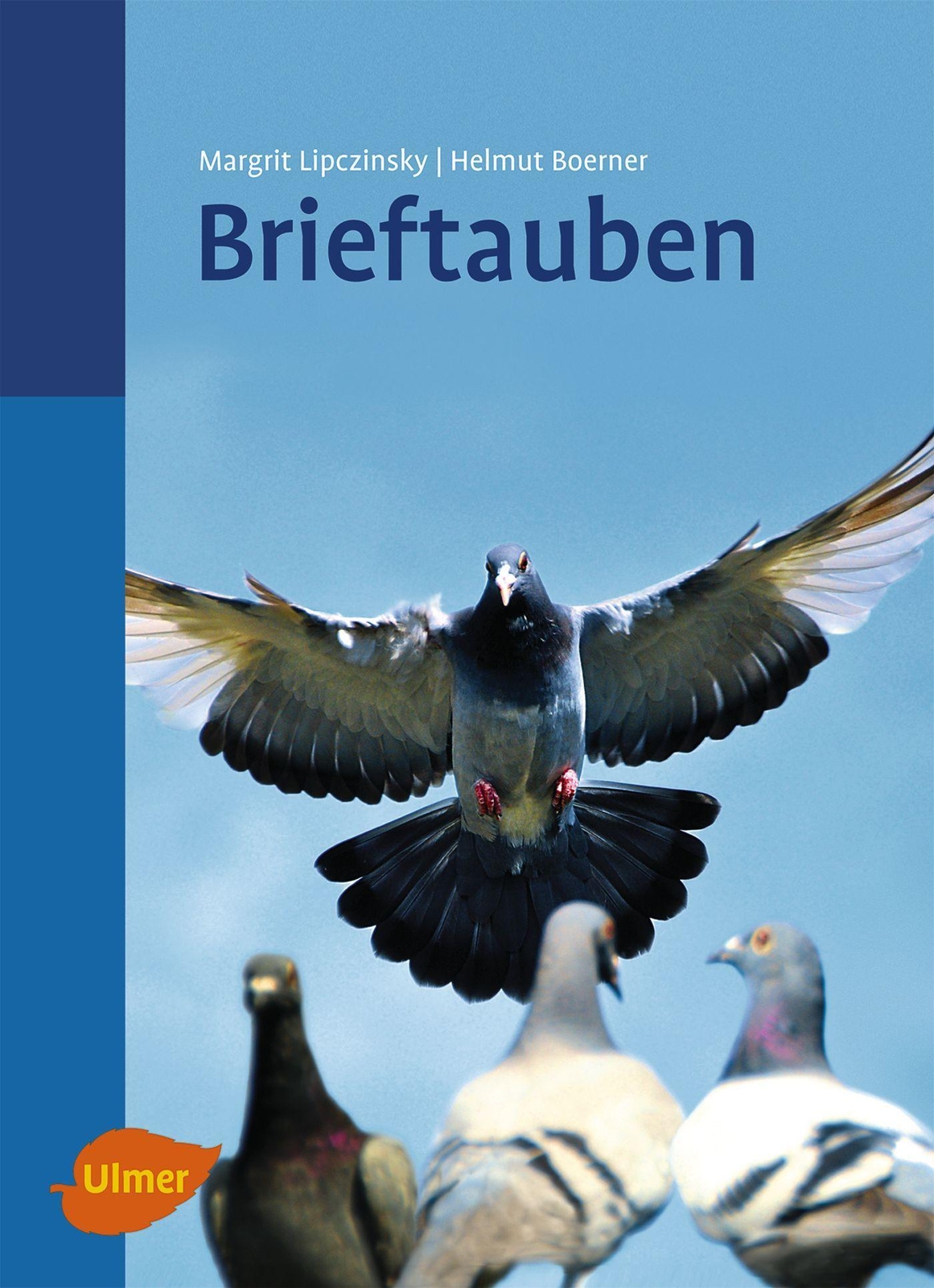 Thumbnail - Brieftauben | Margrit Lipczinsky (u. A.) | Buch | 192 S. | Deutsch |