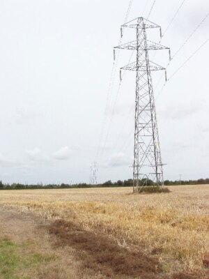 Foto 6x4 Pylonen durchqueren ein Maisfeld, von Longwick Holly Green\/SP7703 um 2005