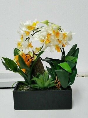 Nearly Natural - Dendrobium- und Bromelien-Arrangement (UR)