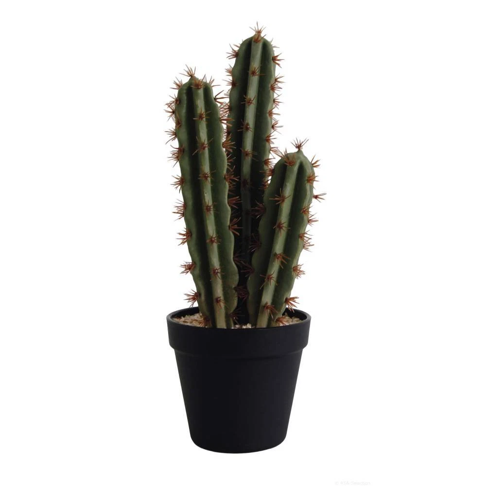 Kaktus Dekoblumen & knstliche Pflanzen aus Kunststoff online kaufen |  eBay.de