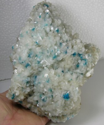 1625g India Natural Multiple Cavansite Crystals In Matrix Specimen 180mm 3lb 9oz