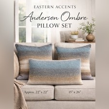Set of 3 Eastern Accents Anderson Ombre Decorative Pillows