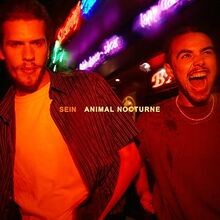 Animal Nocturne Von Sein | Cd | Zustand Neu-image