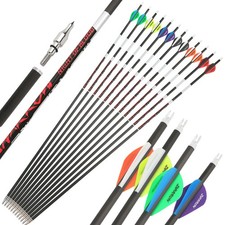 31" Luminous Pure Carbon Arrows SP300-600 2" Vanes Removable Tips Hunting Arrows