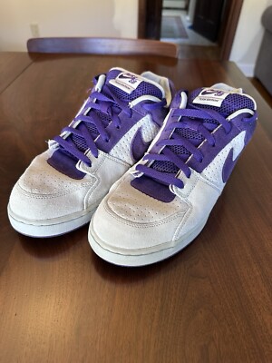 Nike Zoom SB Dunks Neutral Grey/Dark Raspberry Size 12