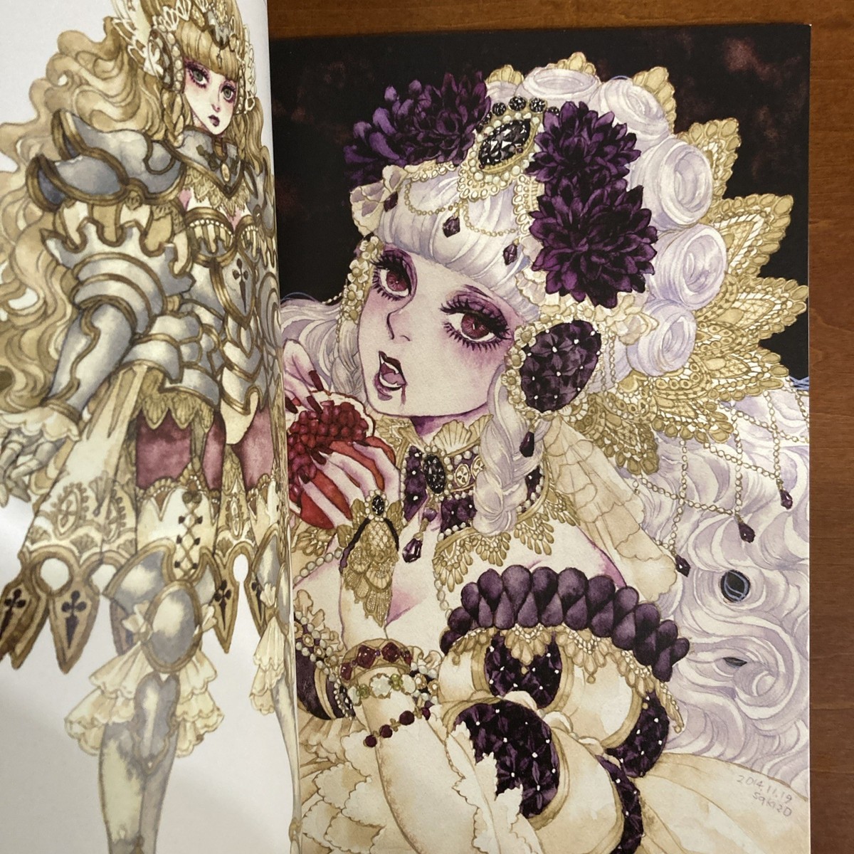 FANTASY OF THE DREAM sakizo Art Book Illustration | eBay
