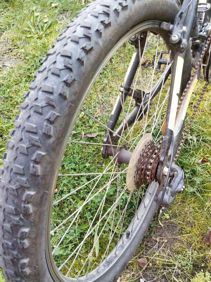 Bulls Pulsar Eco Mountainbike