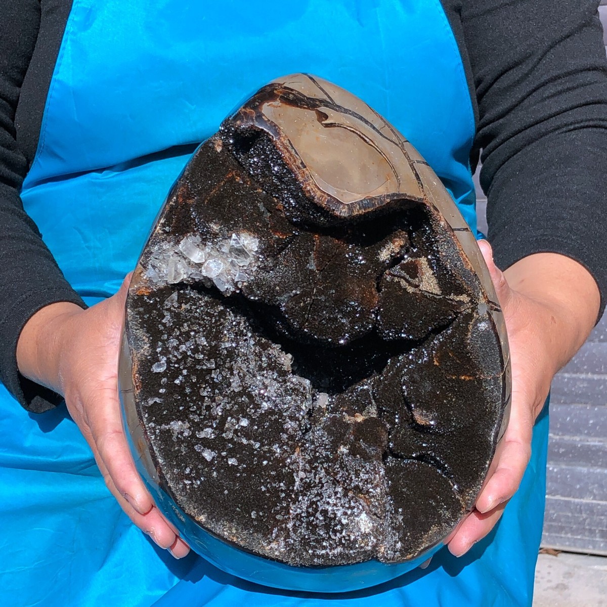 18.98LB Natural Turtle Back Stone Dragon Crystal Cave Crack Gem