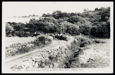 Vintage Pony & Horse Riding at Melin Rhos Farm, Lligwy Bay Postcard