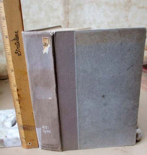 GODS & FIGHTING MEN;STORY Of TUATHA De DANAAN,FINNA Of IRELAND,1905,Lady Gregory