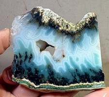 Rare Tide Pool Plume Agate Faced Rough! Indonesia