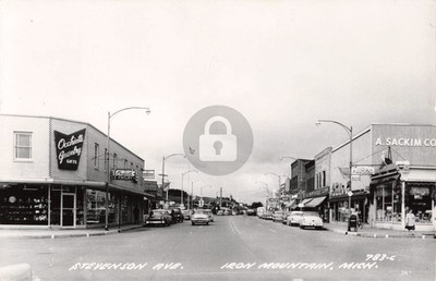 Street View Stevenson Ave. Iron Mountain MI Michigan RPPC Photo Postcard COPY