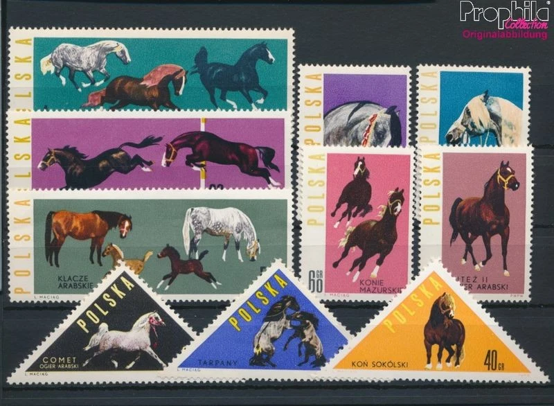 MONGOLIE SÉRIE DE TIMBRES OBLITÉRÉS CHEVAUX /K923 | Kaufen auf MONGOLIE SÉRIE DE TIMBRES OBLITÉRÉS CHEVAUX /K923 | Kaufen auf