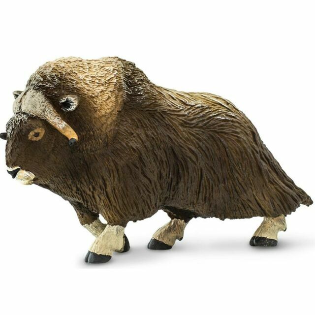 schleich musk ox