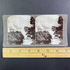 Obersee Bavarian Alps in Germany Stereoview Antique c1898 Y10606