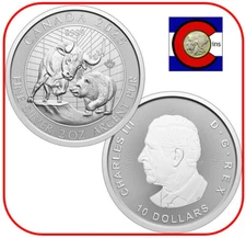 2025 Canada Bull & Bear 2 oz 0.9999 BU Silver Coin in capsule
