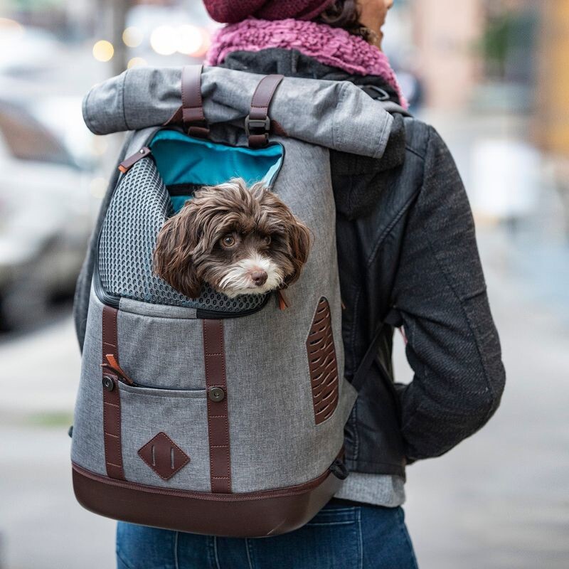 Kurgo Zaino K9 - Trasportino Gatti E Cani Piccola Taglia