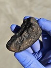 122.20g Oriented NWA Unclassified Meteorite - Algeria 2025 w/ COA — photo 5