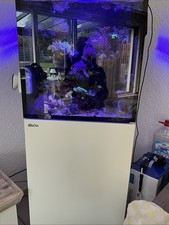Red Sea Max Nano Gl Weiß Meerwasser Aquarium