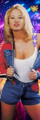 WWE HALL OF FAME SUNNY TAMMY SYTCH 2’x6’ TALL VINYL BANNER | eBay
