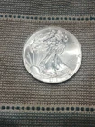 2013 American Silver Eagle  1 oz .999 Fine Silver, FREE SHIPPING