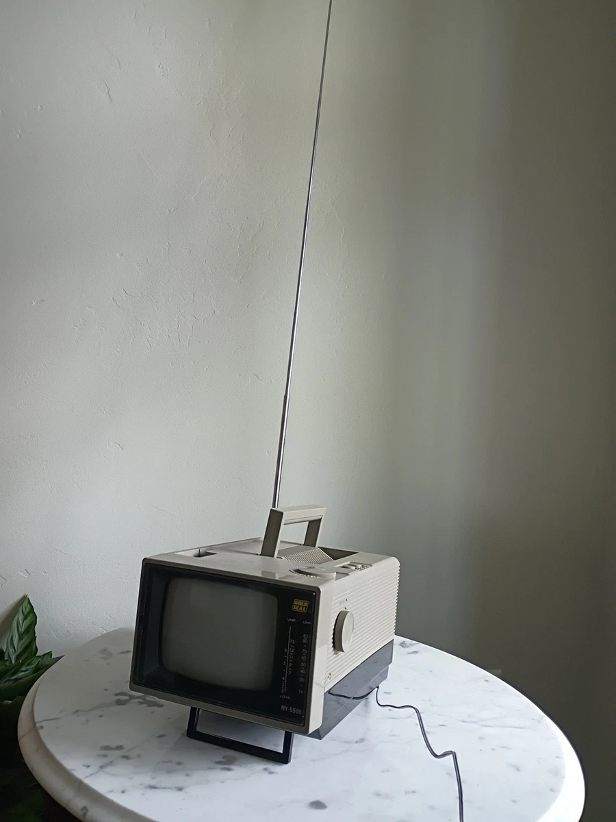 Tote Vision In Vintage Televisions for sale - eBay