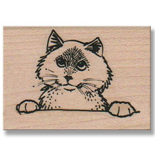 NEW Mounted Rubber Stamp, Cute Kitty Cat With Eyes Looking Up Fun Animal Kitten