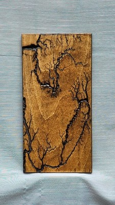 Unique Fractal Burned Birch Wall Art - Lichtenberg Figure - One of a Kind
