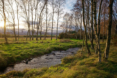 Foto 6x4 Ryefield Burn in Ryefield Wood, Black Isle Dunston The water c2021