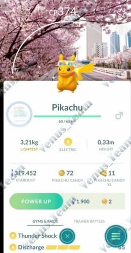 Pokémon Go ✨ Shiny Pikachu Flower Hat Background Spring Blossom ✨ P T C 20k Dust - Afbeelding 2 van 6