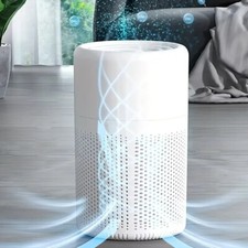 Home HEPA Air Purifier Smart Portable Deodorizer for Odor, Dust, Pets, USB Power