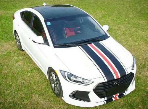 Car Decal Racing Rally stripe for CERATO K2 Vinyl Hood Rear Sport Sticker ZC1392 - Foto 4 di 6