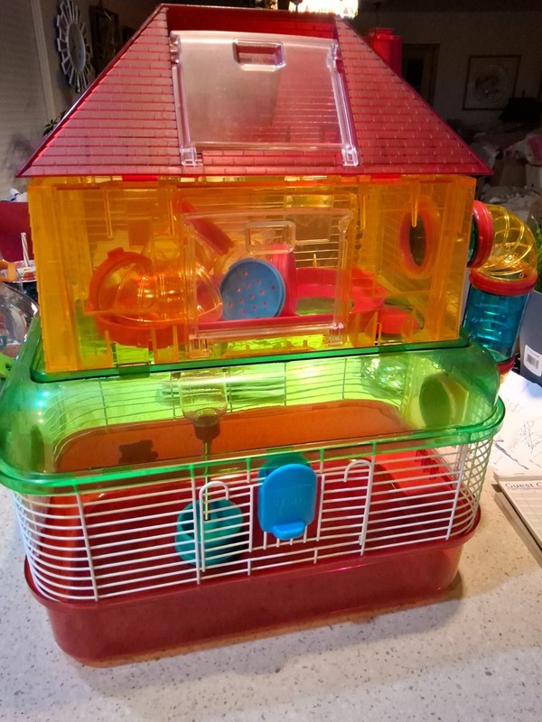 TINY TALES Small Hamster/gerbil Cage 2 Tier Multicolor Plastic Metal