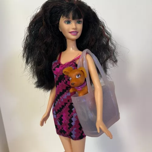 Vintage 2006 The Barbie Diaries Courtney Doll Mattel Redressed